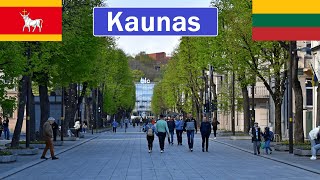 Lithuania Kaunas walk in Liberty Avenue and old town 4K [upl. by Aihsemek]