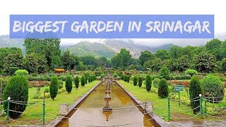 Biggest Mughal Garden  Nishat Bagh in Srinagar Kashmir India  Kashmir Tour  Safar Stories [upl. by Delanos]