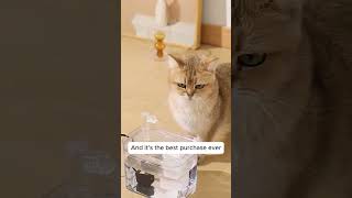 If Your Cat Hates Drinking Water You NEED This Water Fountain cat petessentials [upl. by Vander]