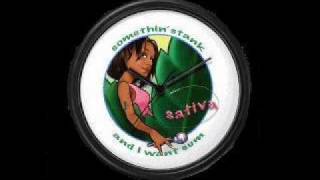 Sativa  Somethin Stank ft GeorgeClintonwmv [upl. by Lenette339]