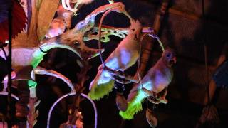 Enchanted Tiki Room 2011 full show as it reopens at Magic Kingdom Walt Disney World [upl. by Starkey936]