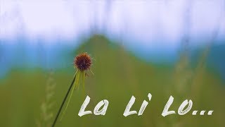 La Li Lo  Taim Kri  Mishmi Music Video HD  EDM [upl. by Andel]