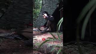 Solo camping bersantai di hutan solocamping bushcraft survival latihanperang [upl. by Stedmann]