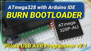 Burn Bootloader  Atmega328P using Pololu AVR [upl. by Cuyler]