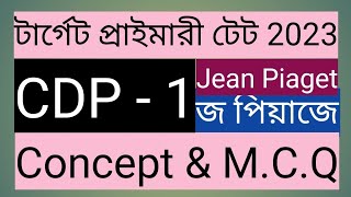 CDP1পিয়াজেpiaget cognitive development theorypiagetchild development Piaget theorychild psy [upl. by Warga]