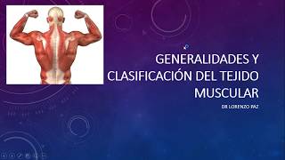 Generalidades sistema muscular [upl. by Eniarda]