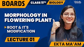 Morphology in Flowering Plants Class 11 L1  Class 11 Biology Chapter 5  CBSE 2024  Ekta Mam [upl. by Giulio569]