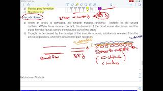 13 Blood Physiology 4 [upl. by Freeland]