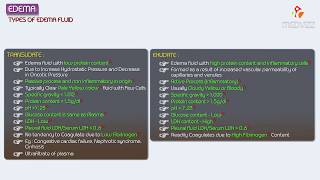 3Edema  Exudate vs Transudate  Hemodynamic pathology Fmge Neet PG and usmle [upl. by Pfosi]