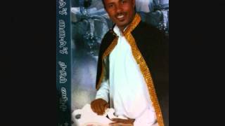 Tadesse Mekete Band presents  New Ethiopian wedding song by Tadesse Mekete  Hagare [upl. by Enyr]