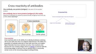 Immunological Techniques biotechnology immunology [upl. by Handler]