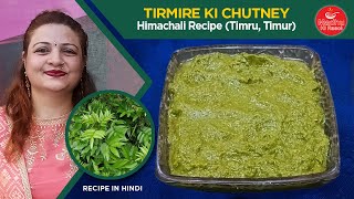 Tirmire Ki Chutney recipe  Zanthoxylum armatum  Tirmire ke patton ki chutney  Tumbru Chutney [upl. by Tybalt106]