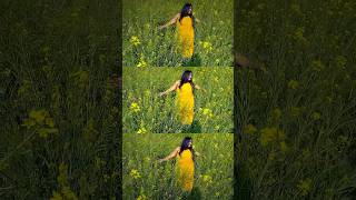 DDLJ LOOK TUJHA DEKH TO YA JANA SANAM song bollywood love music hindisong [upl. by Valerian382]