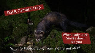 DSLR Camera Trap  When Lady Luck smiles down [upl. by Nolrev]