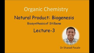 Biogenesis  Biosynthesis of Stilbene Flavonoid and Isoflavonoid [upl. by Agnot]