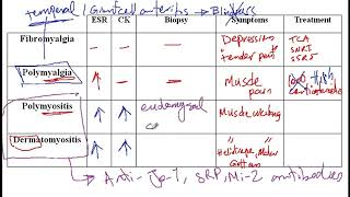 Video 189 Understanding Myopathies Fibromyalgia Polymyalgia Polymyositis and Dermatomyositis [upl. by Atinel]