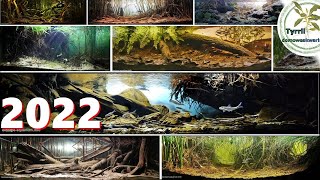 Biotope aquariums 50 arrangements cinematic [upl. by Heurlin649]