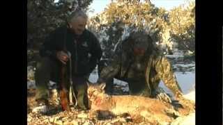 Mountain Lion Hunt in Utah  MossBack [upl. by Ecnaret]