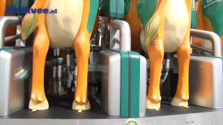 GEA DairyProQ robot voor oa draaimelkstal [upl. by Illak]