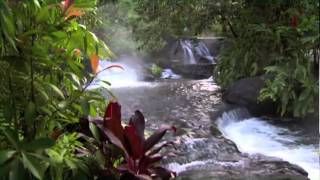 Discover Costa Rica [upl. by Ardnasac285]