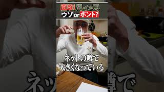 【噂の真相】小沢仁志vs本宮泰風 若かりし日に「ぶっ飛ばした」ってマジ！？【嘘or本当？】 [upl. by Euqinomad409]