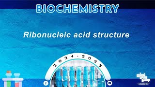 Revision of L14 RNA structure and types gene  genome and genetic code  Molecular biology 4 [upl. by Ecyar967]