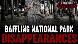 10 Bizarre National Park Disappearances  Episode 18 [upl. by Vorfeld117]