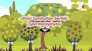 Kingdom Plantae  Tumbuhan Berbiji  EDURAYA MENGAJAR  IPA Kelas 7 SMPMTs [upl. by Klatt]