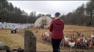 Morning Chicken Chores Routine Winter Edition [upl. by Boy]