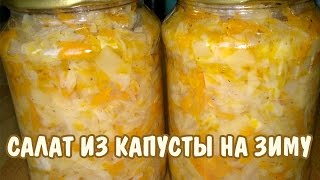 Салат из капусты на зиму Заготовки на зиму [upl. by Frannie]