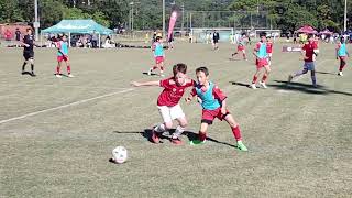 FQ Junior Cup 2024 Silver U12  Final Olympic FC vs GC Knights  25 June 2024 [upl. by Hallsy299]