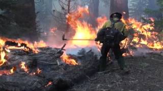 Wildland Fire Recruiting Video [upl. by Osyth]