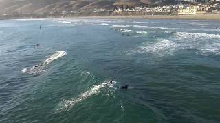 Pismo Beach Pier Surf [upl. by Thorley]