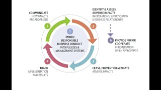 What is The OECD [upl. by Emilee]