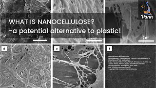 What is Nanocellulose [upl. by Irneh949]