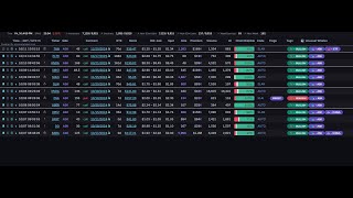 Unusual Whales Flow Recap for 10724 to 101124 [upl. by Adiraf]