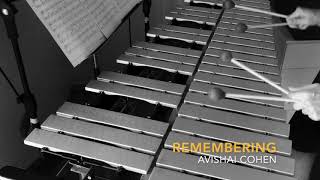 Remembering Avishai Cohen [upl. by Ahsinav191]