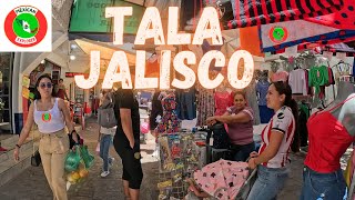 Tala Jalisco 4K Walking Tour [upl. by Konikow]