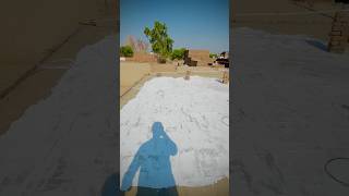 HeatProofing Roof with White Paint heatproofing summertips roofcooling [upl. by Philps]