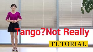 Tango Not Really Line Dance BeginnerBetty Moses Tutorial with Arm Action [upl. by Adnil384]