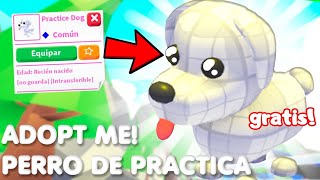 Como obtener esta mascota SECRETA Perro de Practica en Adopt me Roblox [upl. by Ruprecht]