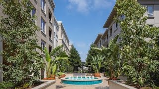 Sausalito  Playa Vista Los Angeles Apartments for Rent [upl. by Yeliac73]