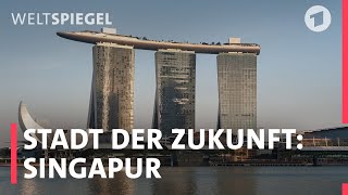 Singapur Zukunftsstadt in den Tropen  Weltspiegel Reportage [upl. by Bilac497]