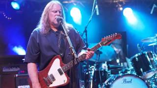 Govt Mule  Endless Parade Tuttlingen July 17 2013 [upl. by Argyres]