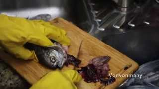 Gutting Pampano Fish [upl. by Michelle525]