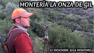 MONTERÍA LA ONZA DE GIL 2018 MONTORO HUNTING 24 [upl. by Allecram85]