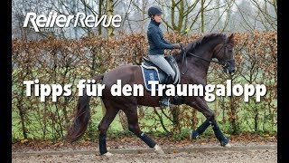 Tipps für den Traumgalopp [upl. by Llertnad]