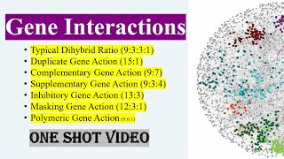 GENE INTERACTION  DETAILED NOTES  NEET  NCERT  CBSE [upl. by Caddaric588]