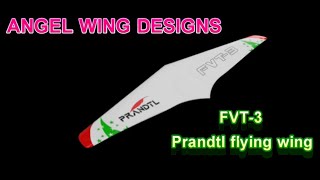 Prandtl Flying Wing FVT3 Part 6 HatchElevons Ballast beads [upl. by Carrnan]