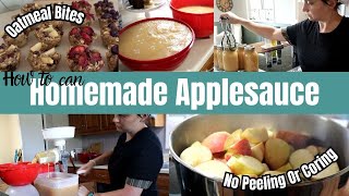 Perfect Homemade Applesauce No Peeling or Coring Plus Delicious Oatmeal Bites [upl. by Halli164]